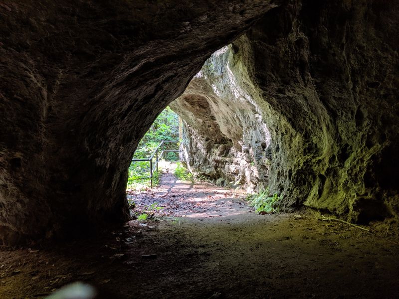 Cave Adventures for the Brave