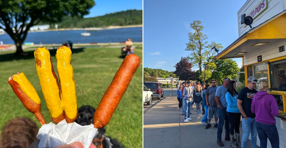 Pronto Pup