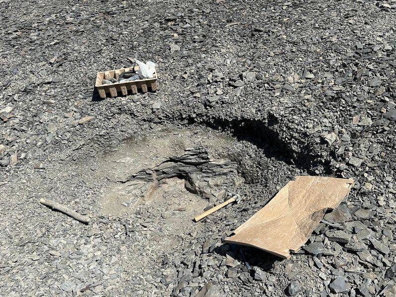 Fossil Finds Here Reward Patience And Good Technique
