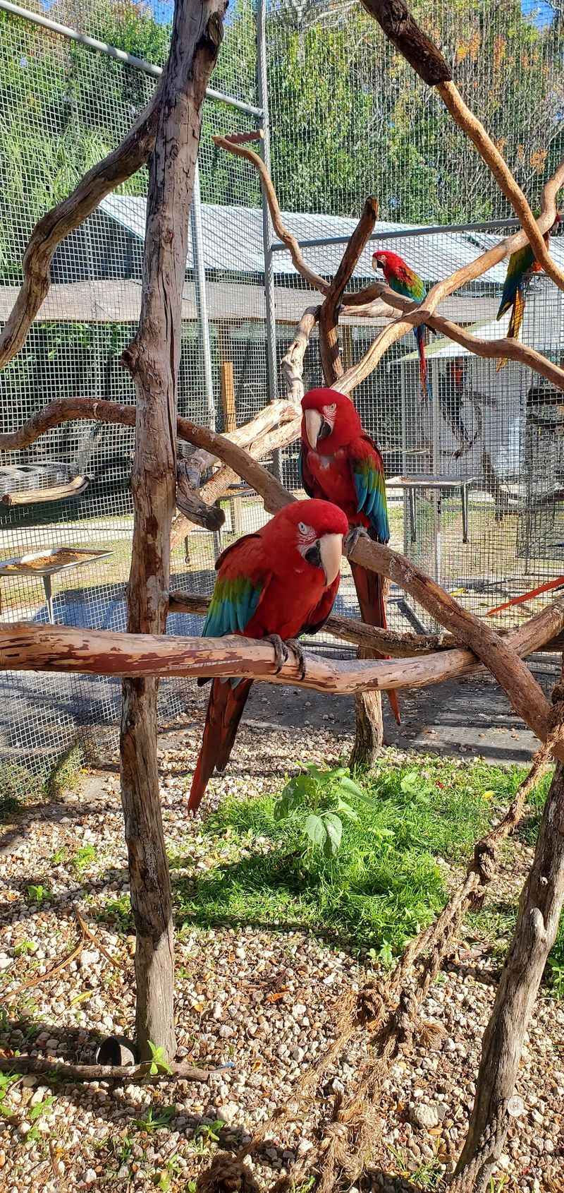 A Great Outing For Families, Dates, And Groups
