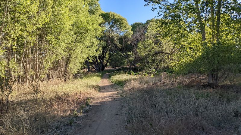 A Green Pocket on the Edge of Prescott