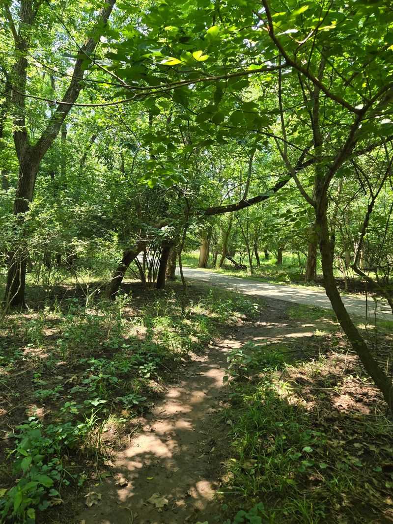 A Green Tunnel That Beats The Summer Heat A Green Tunnel That Beats The Summer Heat