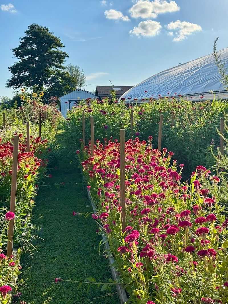 The Perfect Spot for Special Occasions