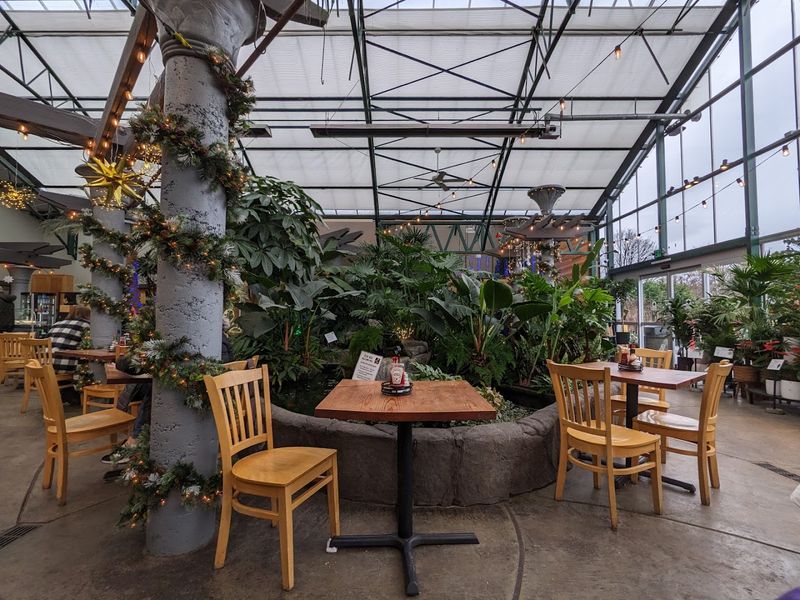 A Greenhouse Setting 