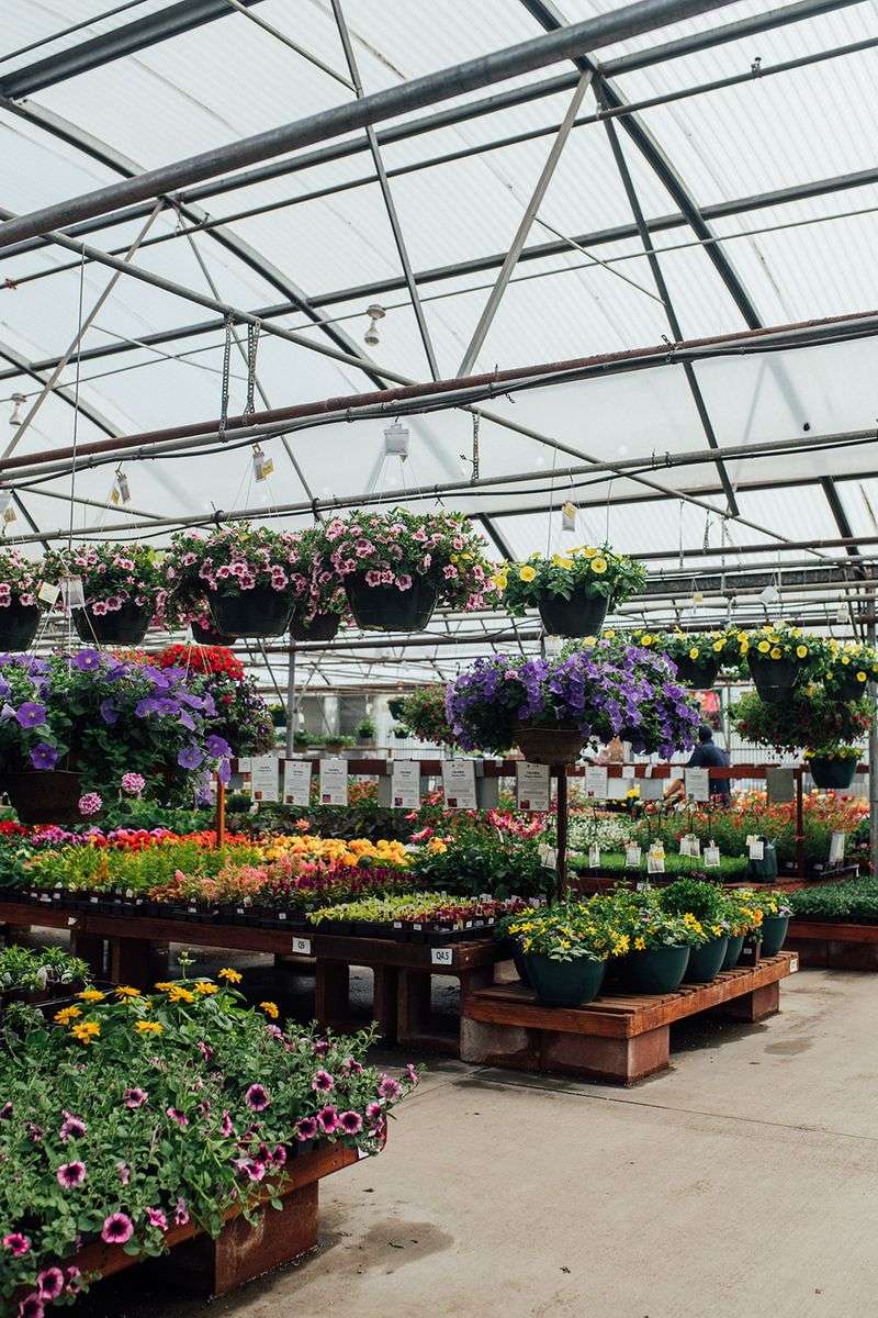 A Greenhouse Village With A Real Arvada Address