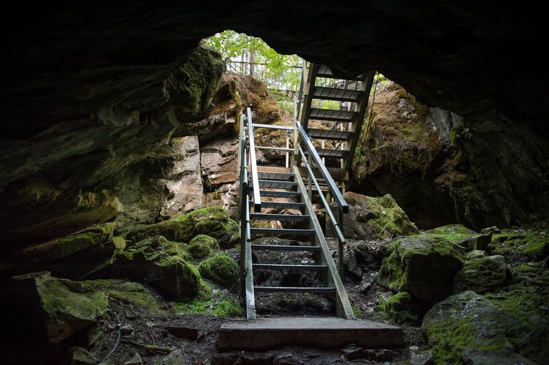 A Guided Tour That Won't Cost a Dime