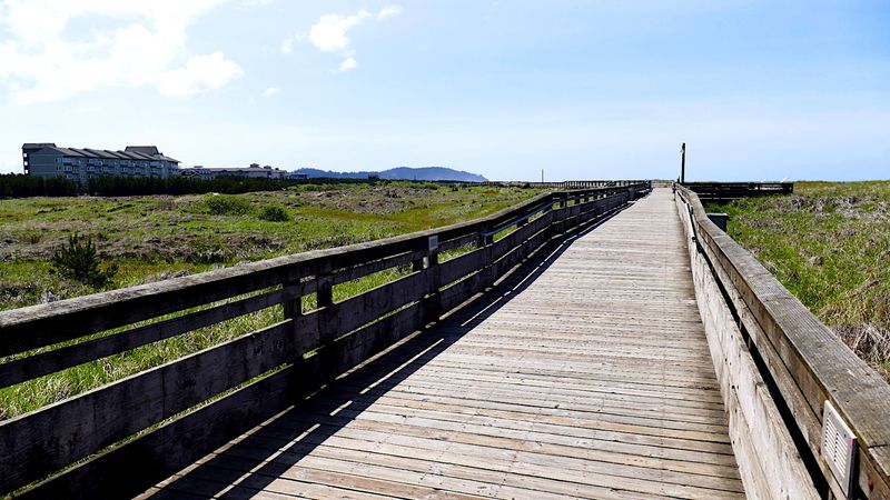 A Half-Mile Boardwalk Above the Pacific Dunes