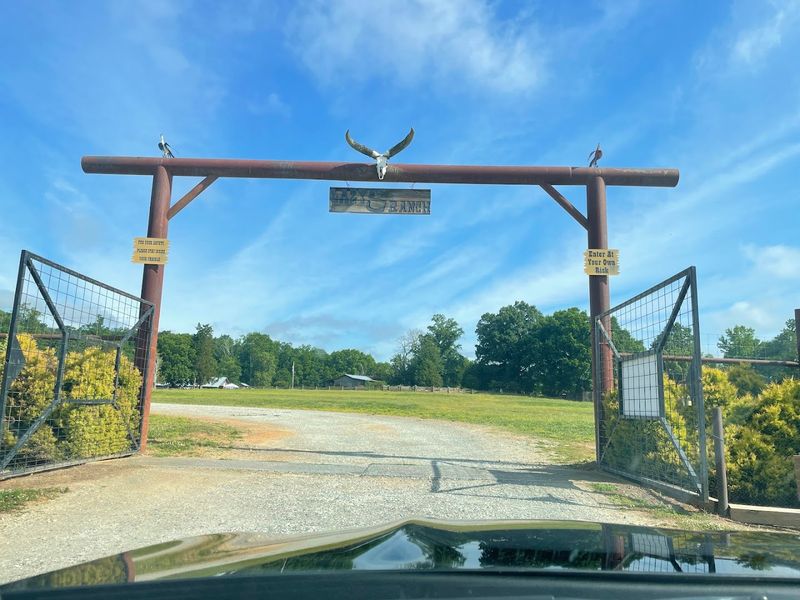 The Drive-Through Safari That Starts With A Bucket And A Dream