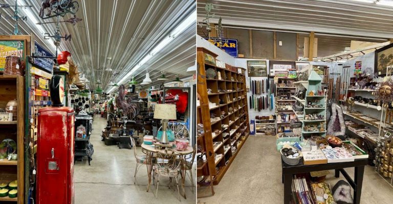 A Hidden Arkansas Collectibles Store Filled With Rare Treasures To Browse For Hours