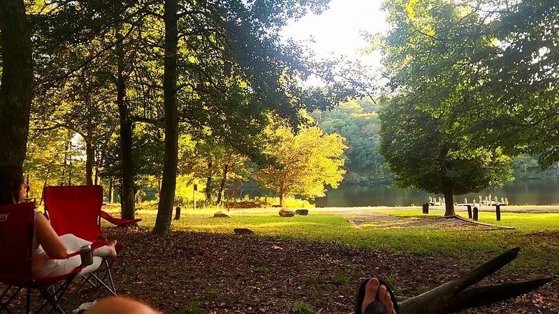 A Hidden Beach At The Forest Edge