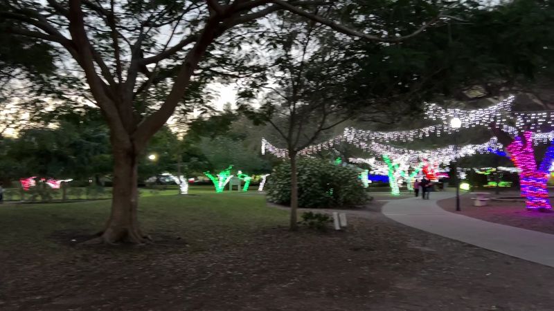 The Mini Trains That Steal Every Kid's Heart