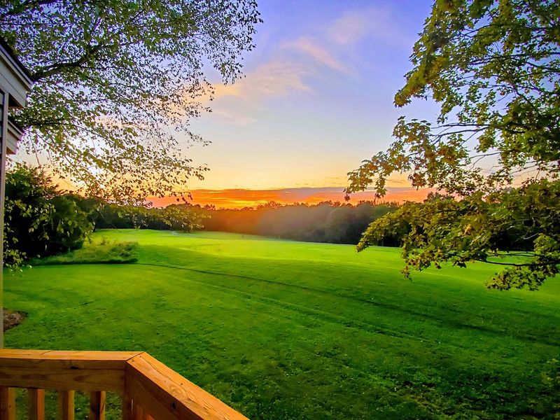 No Hustle, No Bustle, Just Tranquility