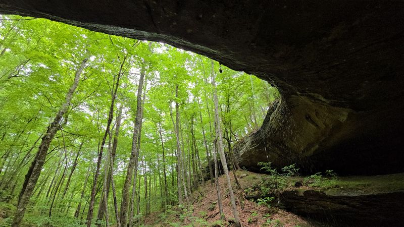 A Hidden Gem That Deserves To Be On Every Alabama Bucket List