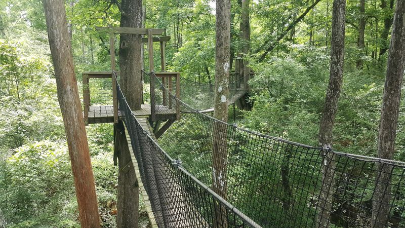 A Hidden Gem Tucked Near A Town Called Coward