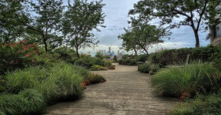 A Hidden Green Escape Sitting Above The Streets Of New York