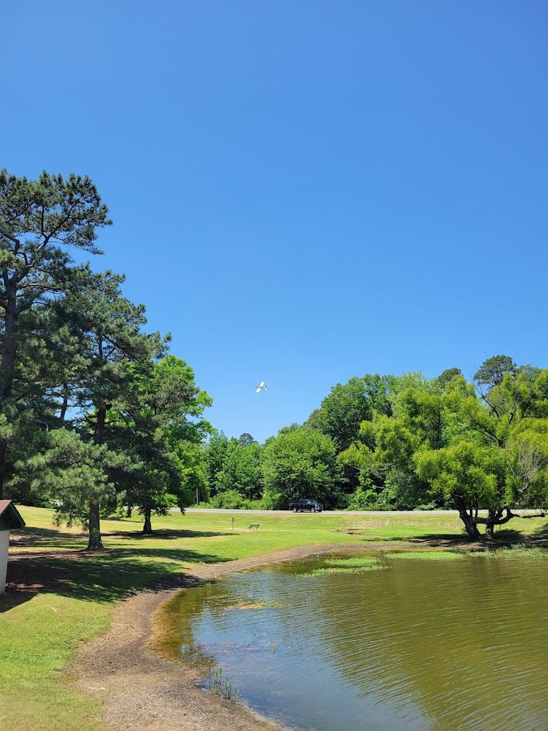 A Secret In Plain Sight