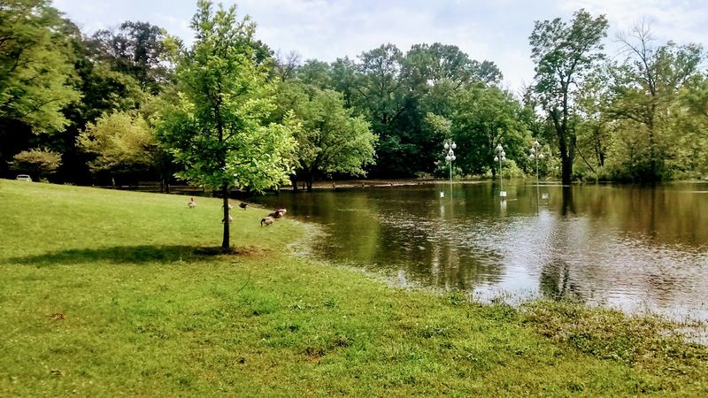 A Play Space Kids Love