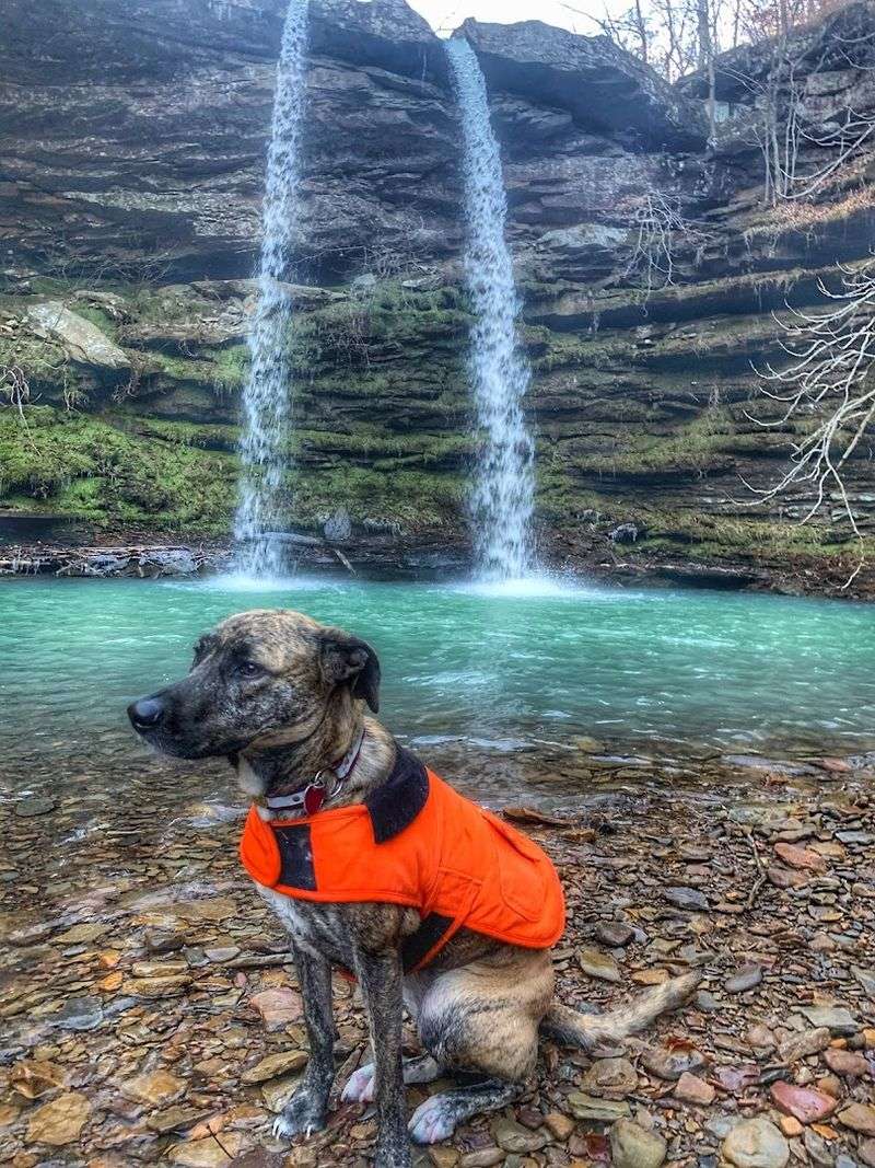 A Hidden Pool Below The Falls