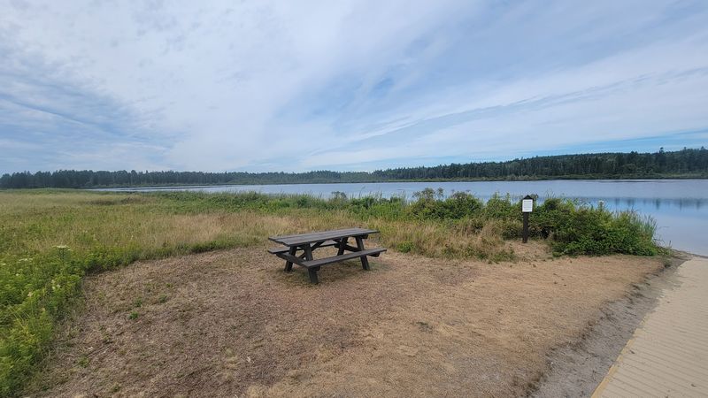 A Freshwater Pond Steps From The Ocean
