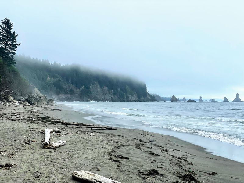 A Hidden Shoreline On The Olympic Peninsula