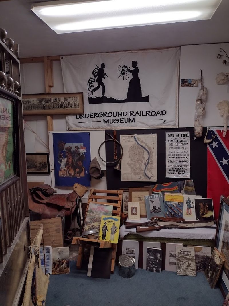 The Remarkable Origins of the Collection