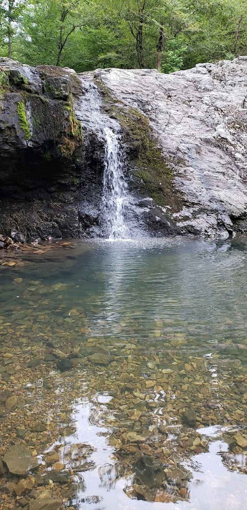 The Moment Spring Transforms The Entire Landscape