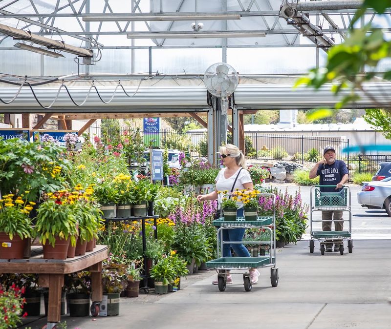 A High-Country Haven For Mountain Gardeners