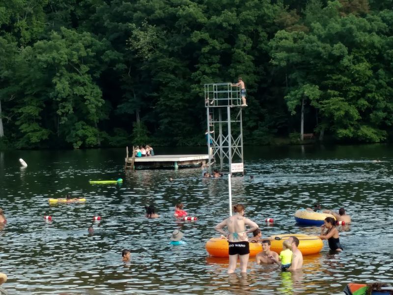 A High Dive Tower For The Truly Bold