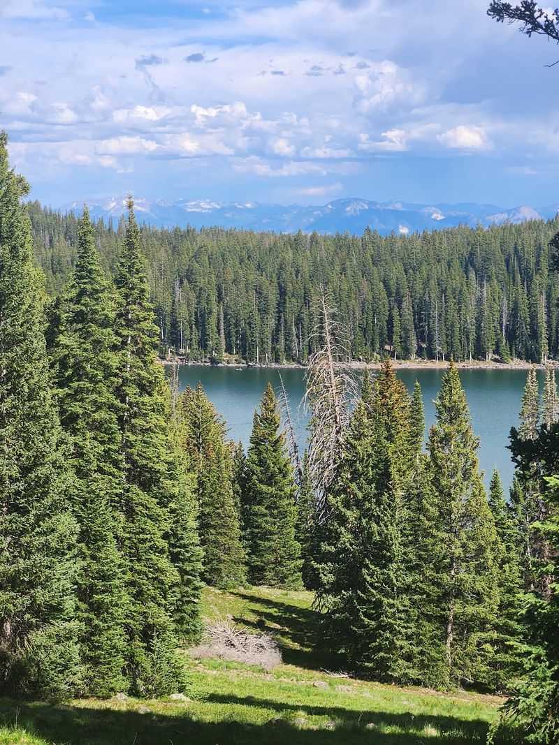 A High Elevation Road With A Cooler Personality