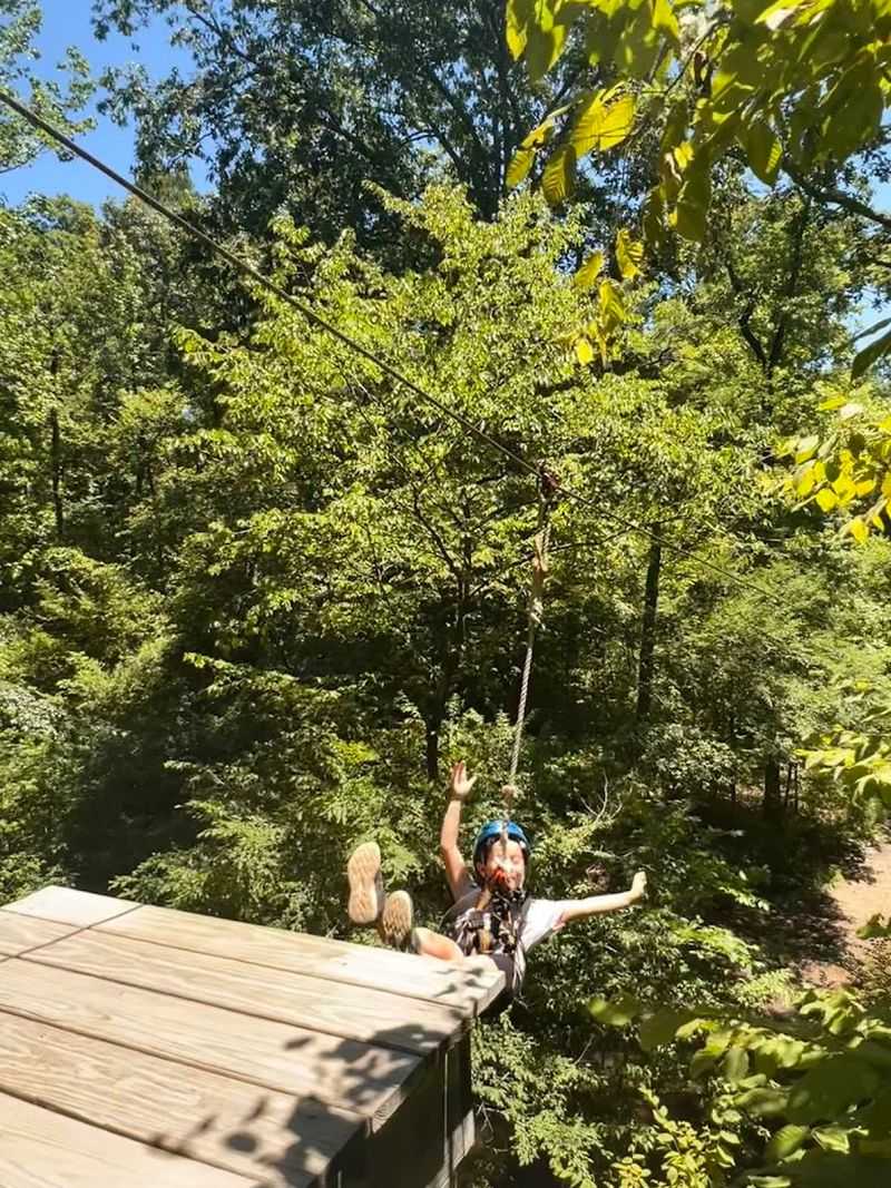 A High-Flying Adventure Wrapped In Greenery A High-Flying Adventure Wrapped In Greenery
