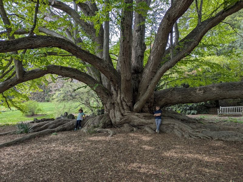 A Historic Estate With Deep Roots A Historic Estate With Deep Roots