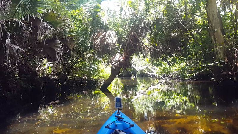 Seven Miles Of Jungle Kayaking Unlike Anything Else In Florida