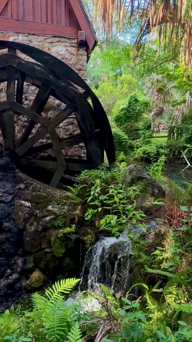 A Historic Spring With Its Own Water Mill