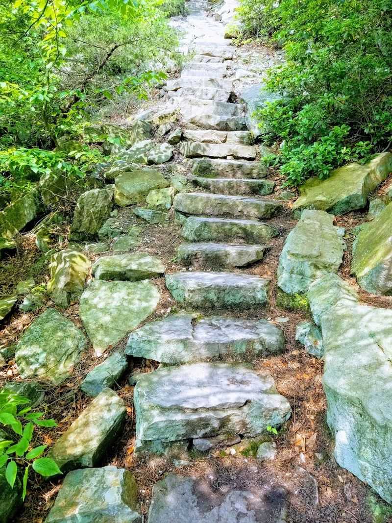 What The Elevation Gain Actually Feels Like