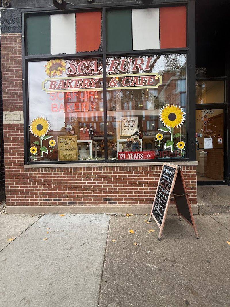 The Address And Neighborhood Setting