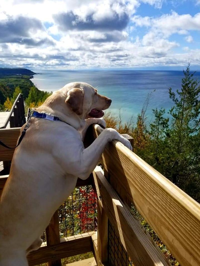 Know The Stairs Before You Start