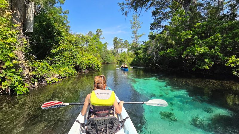 A Kayak Trip Down the River That Feels Like A Dream