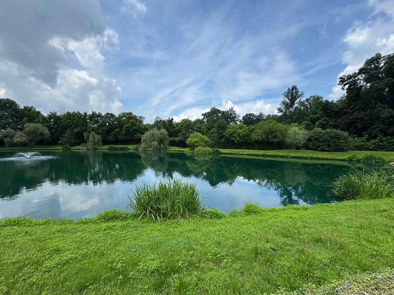 A Koi Pond Sits Right In The Heart Of The Village