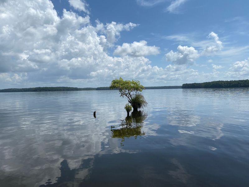 A Lake Born From A Dam In 1927