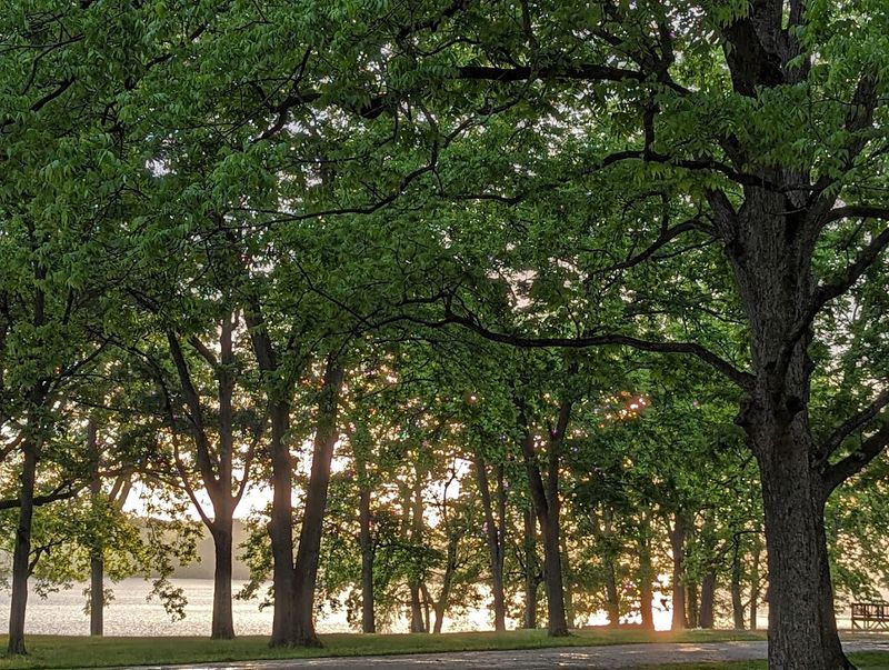 Trails Worth Wandering