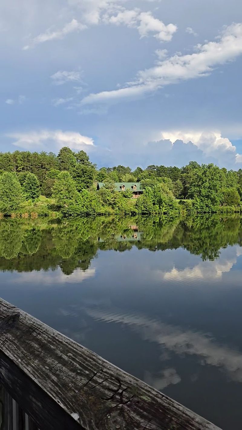Cozy Cabins That Feel Like A Real Retreat