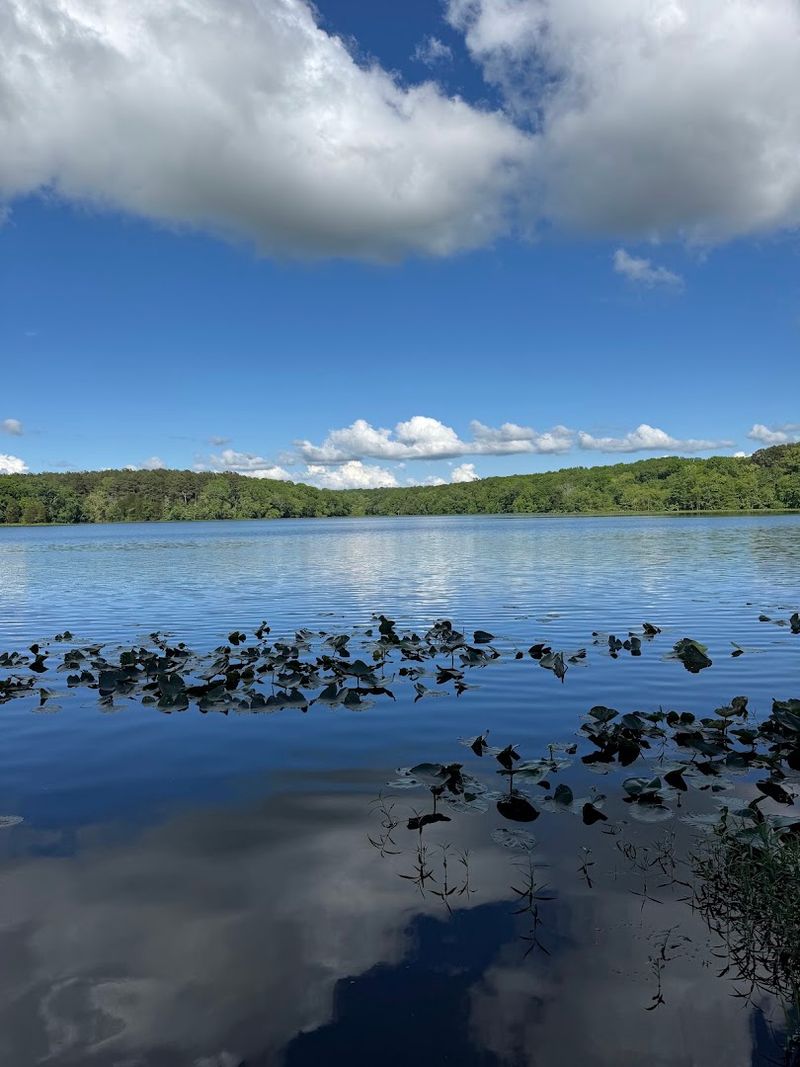 A Lake That Steals The Show
