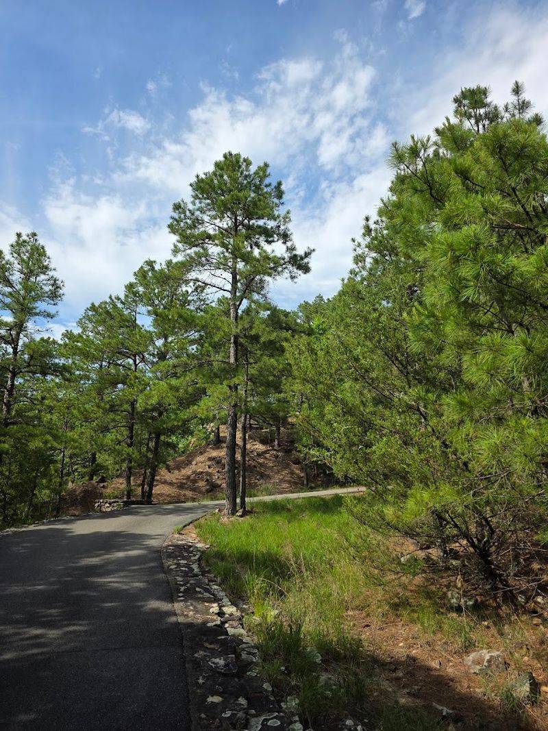 A Trail Network Linked To One Of The Longest Routes In The Region