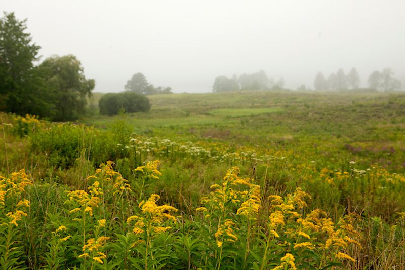 A Landscape In Constant Motion
