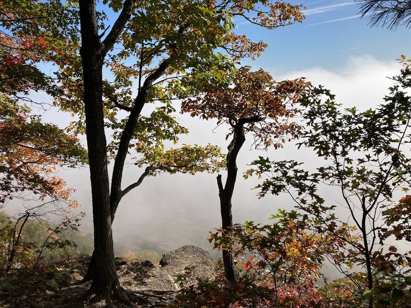 Best Seasons for Visiting the Overlook