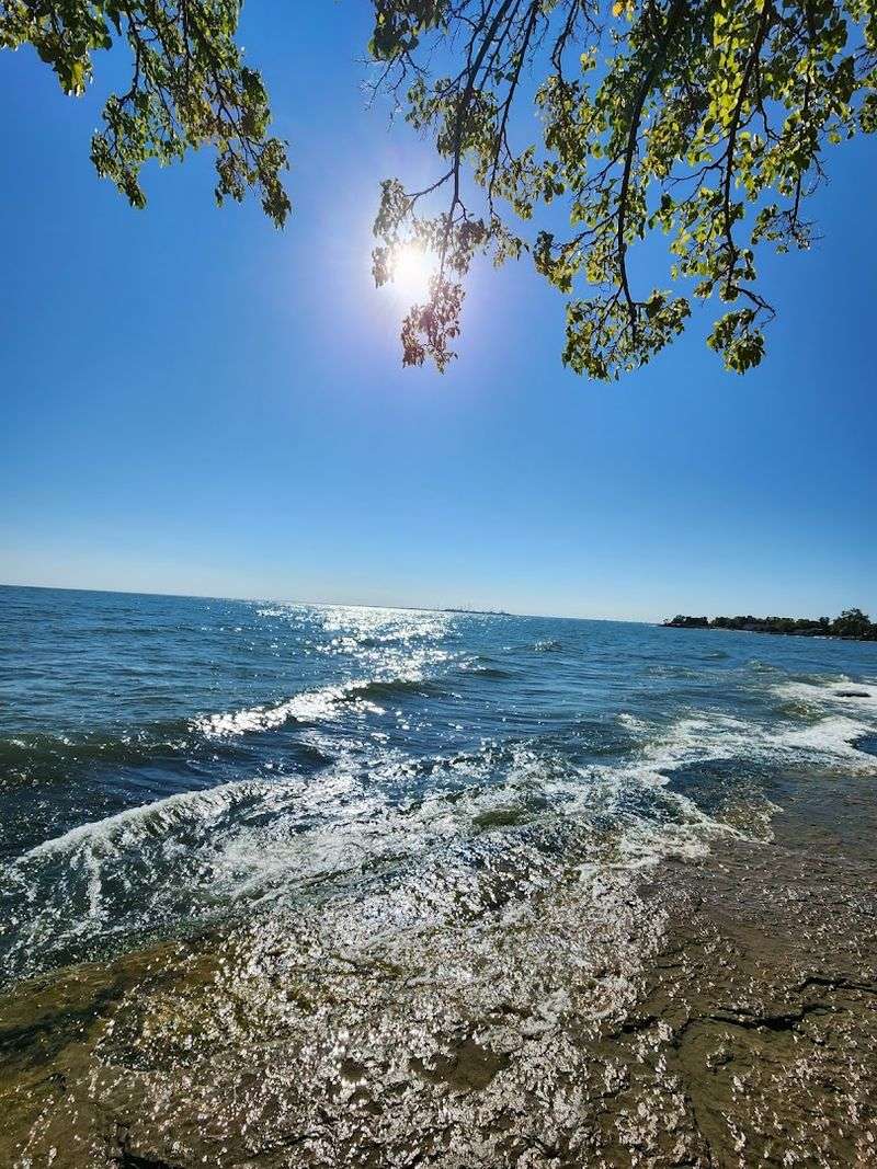 Lake Erie Views That Stop You Mid-Sentence