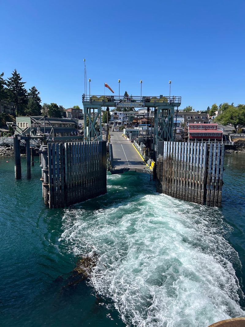 A Little Aquarium Right on the Dock