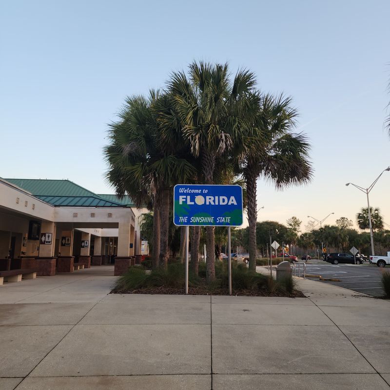 From Georgia Pines To Florida Palms