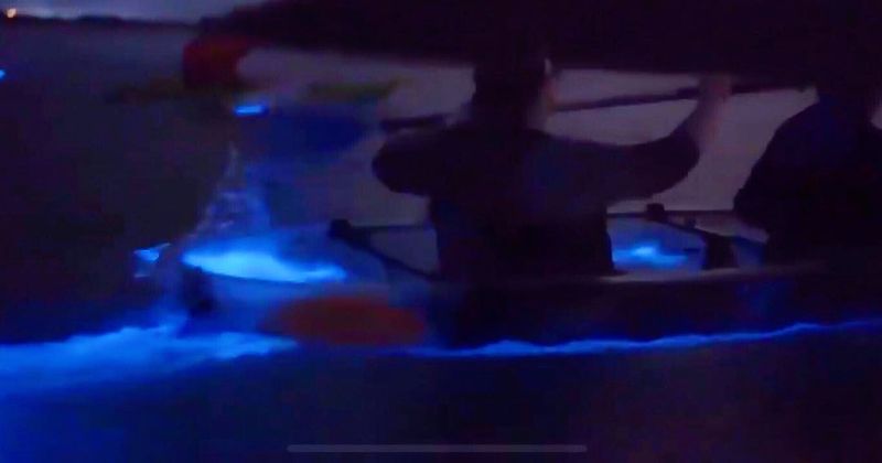 How To Prepare And What To Pack