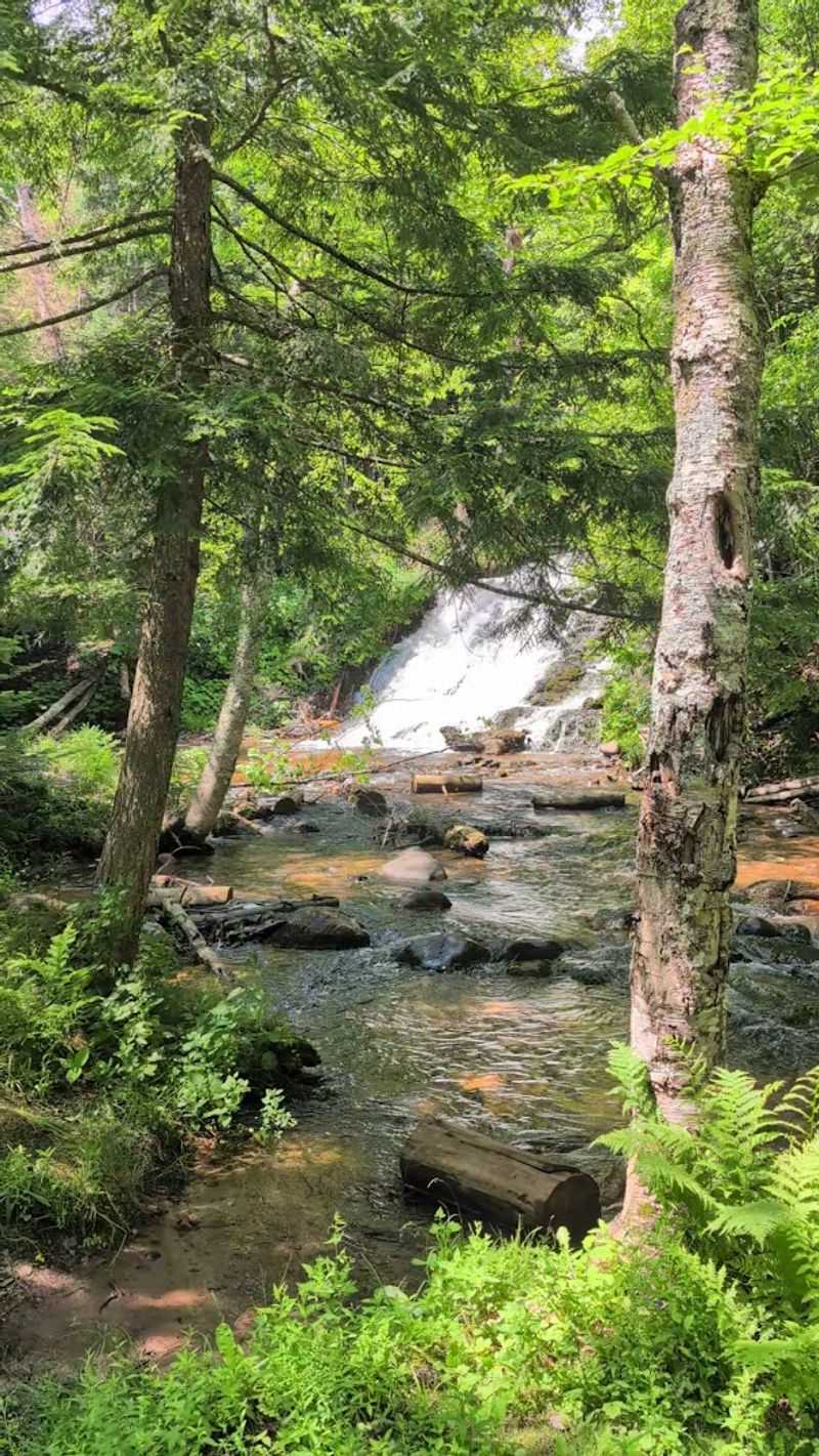 Family Friendly Without Fuss